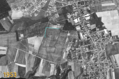 1953