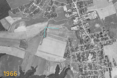 1966